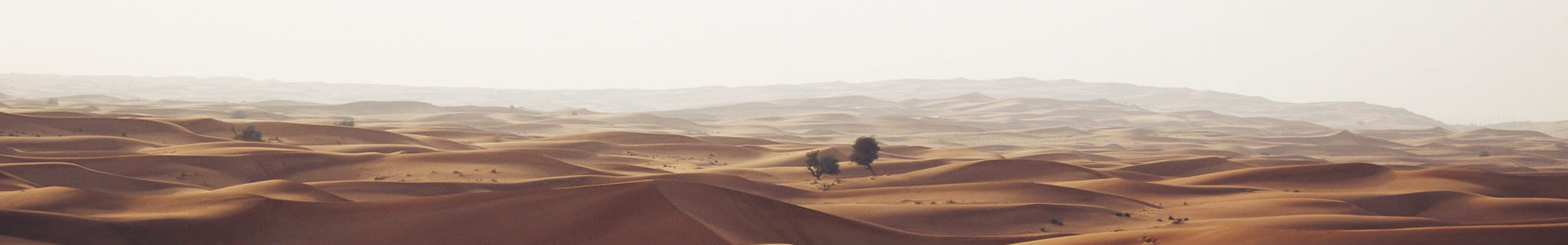 ɶɴƼ޹˾